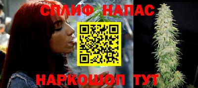 тгк Камышлов